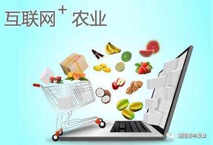 互聯(lián)網(wǎng)+農(nóng)業(yè)模式下農(nóng)產(chǎn)品營(yíng)銷策略 破解銷售困境的創(chuàng)新路徑